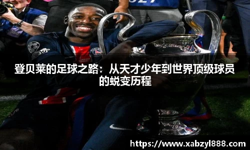 完美体育365官方网站