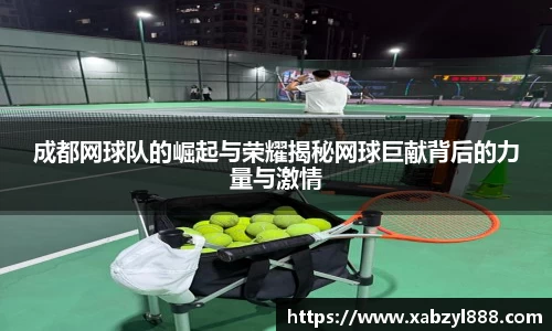 完美体育365平台官网